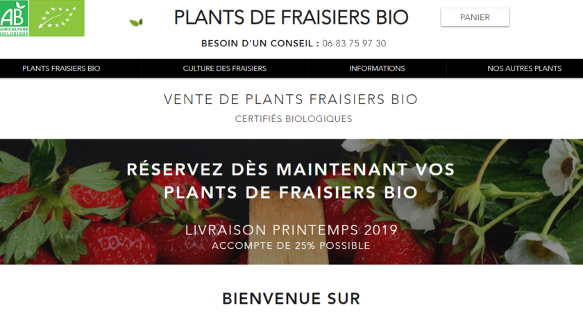 Où trouver des plants de fraisiers bio ?