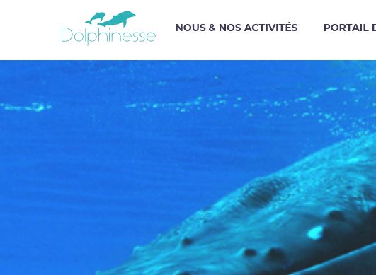 Dolphinesse: tout pour nager avec les dauphins