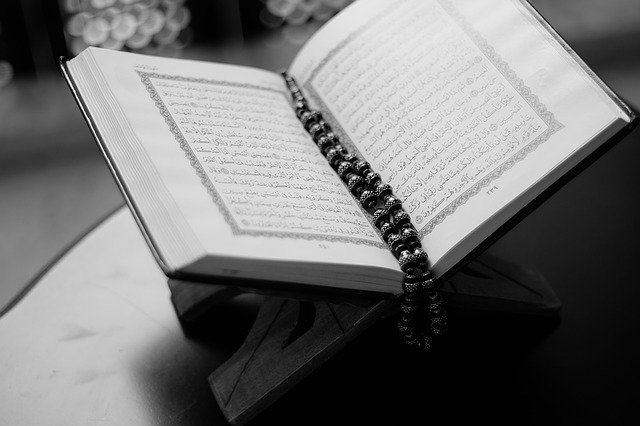 Coran et la traduction du sens de ses versets — Editions Tawbah