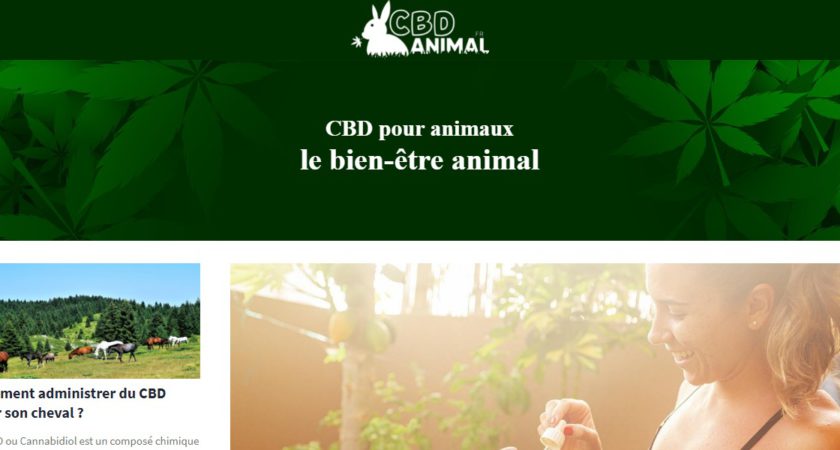 Cbd-animal.fr
