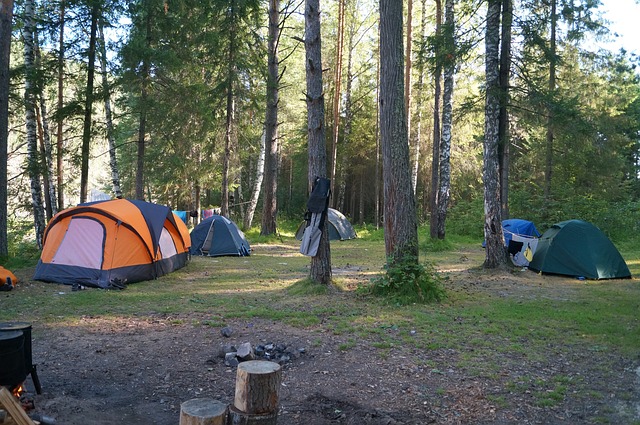 Le camping 4 étoiles à Carcans