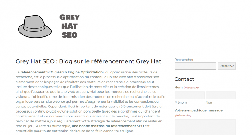 Grey Hat SEO, Qu’est-ce qu’un blog ?