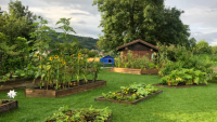 Michaël Ainoux : votre jardinier paysagiste à Puplinge