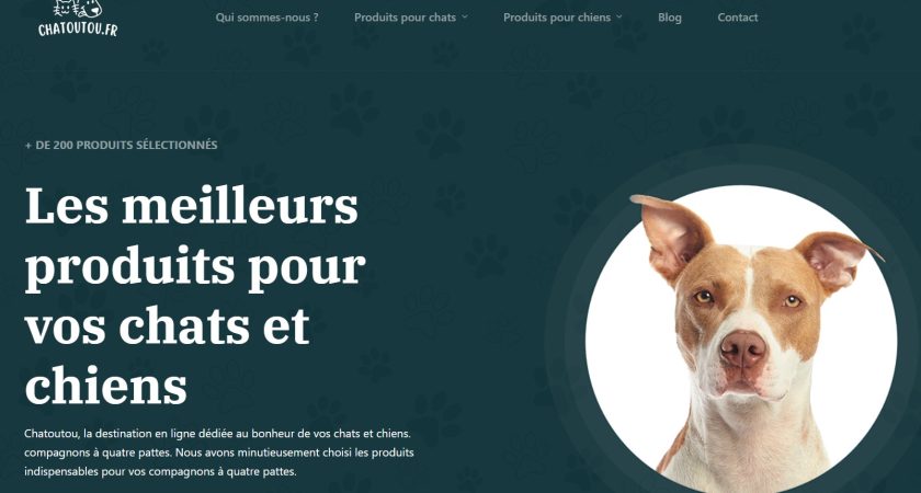 Chatoutou : boutique de produits et accessoire pour chien et chat
